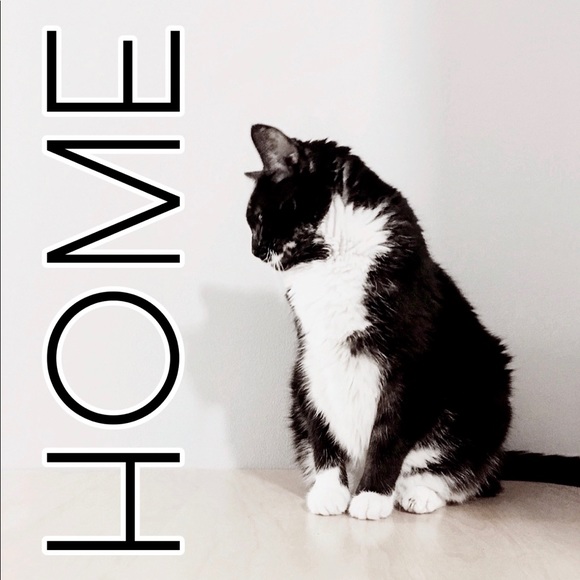 New_Home Pieces For Sale - Picture 2 of 4